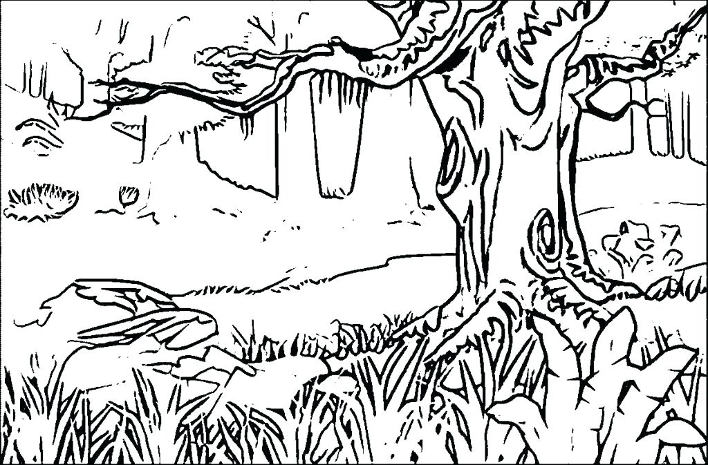 Forest Coloring Pages Fantasy Pages For Adult Coloring For Forest 1024x673 Forest Coloring Pages Fantasy Pages For Adult Coloring For Forest