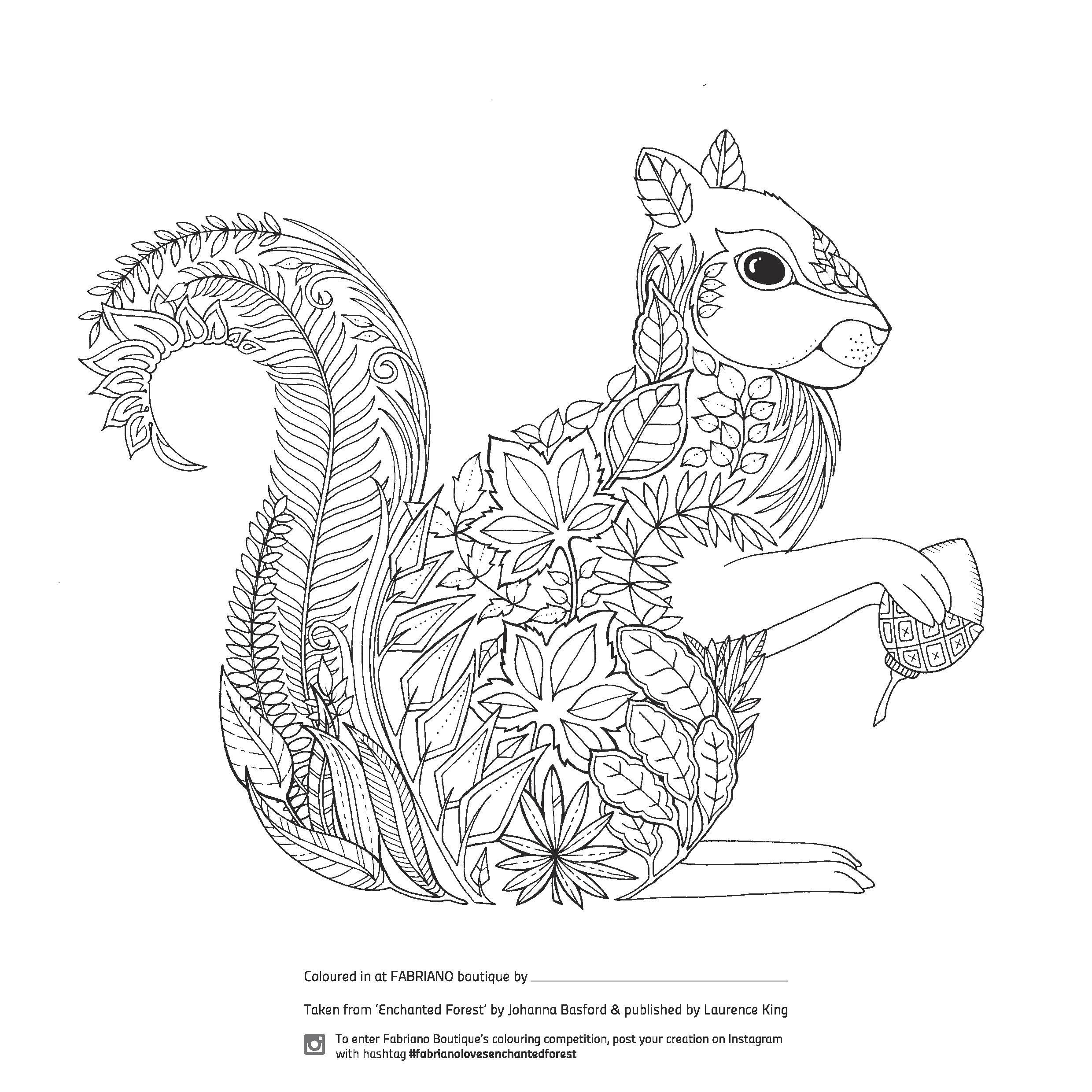 Modest Enchanted Forest Coloring Pages Pdf Colouring Competition 2480x2480 Modest Enchanted Forest Coloring Pages Pdf Colouring Competition