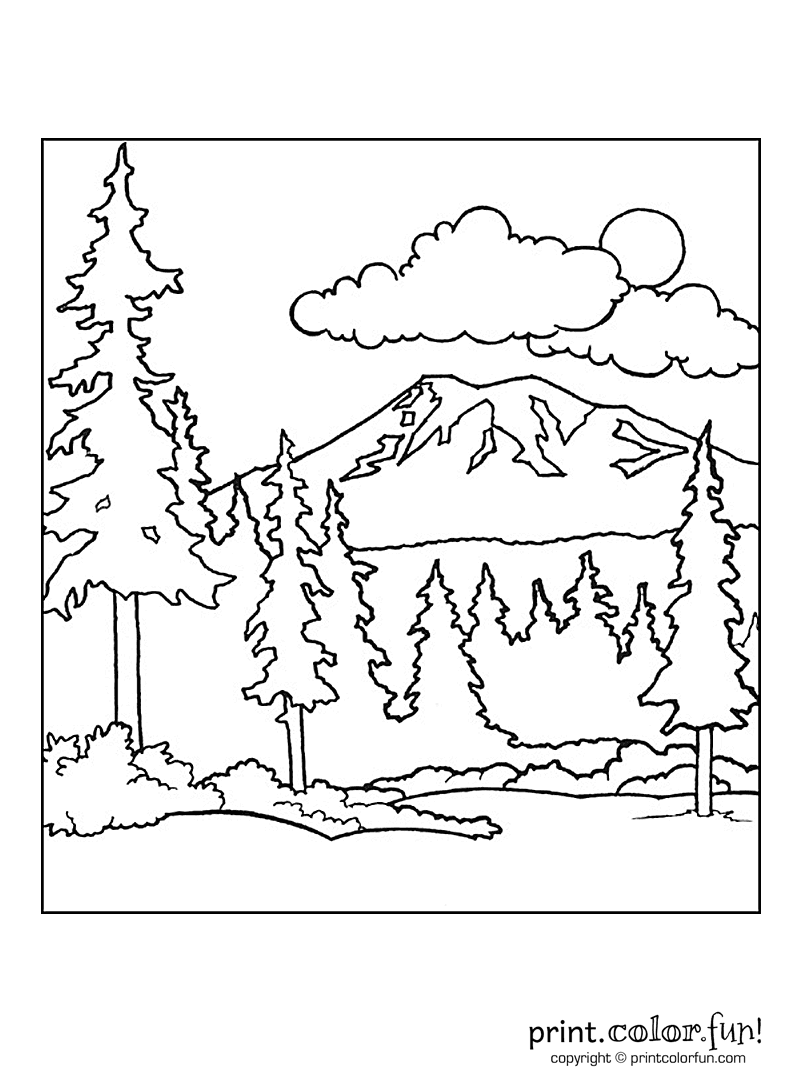 Puppy Dog In The Forest Coloring Page Free Printable Pages Adult 800x1080 Puppy Dog In The Forest Coloring Page Free Printable Pages Adult