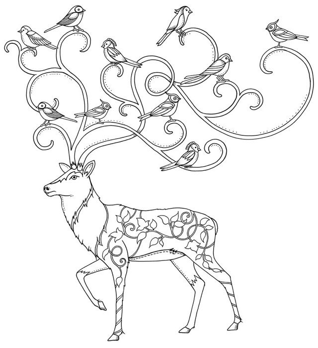 Potential Mural From The Enchanted Forest Book Coloring 640x699 Potential Mural From The Enchanted Forest Book Coloring