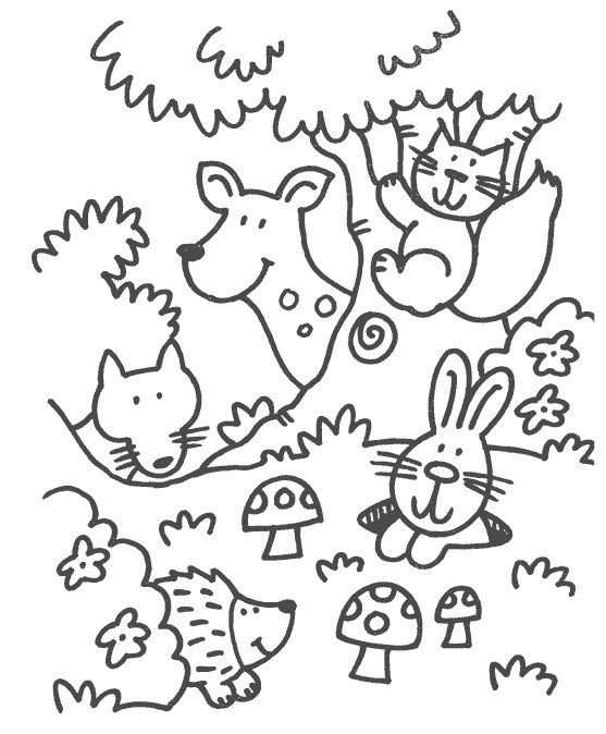 557x674 Some Coloring Pages In The Theme Forest Animals For Preschoolers