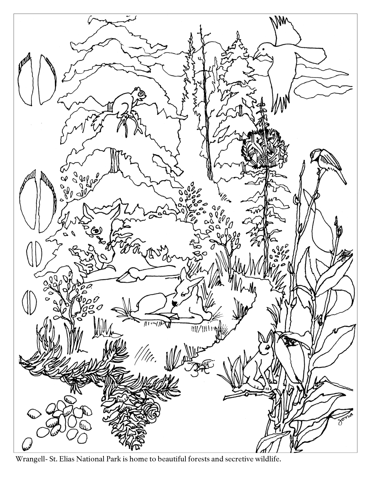 1275x1650 Forest Animals Coloring Pages 13