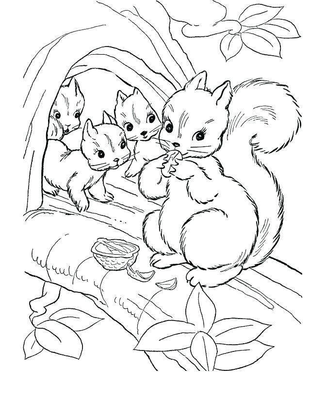 Forest Animals Printable Coloring Pages