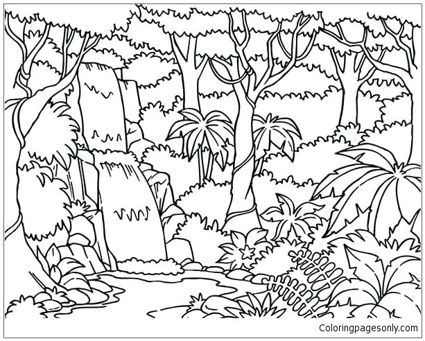 Forest Coloring Forest Coloring Pages Waterfall In The Forest 613x492 Forest Coloring Forest Coloring Pages Waterfall In The Forest