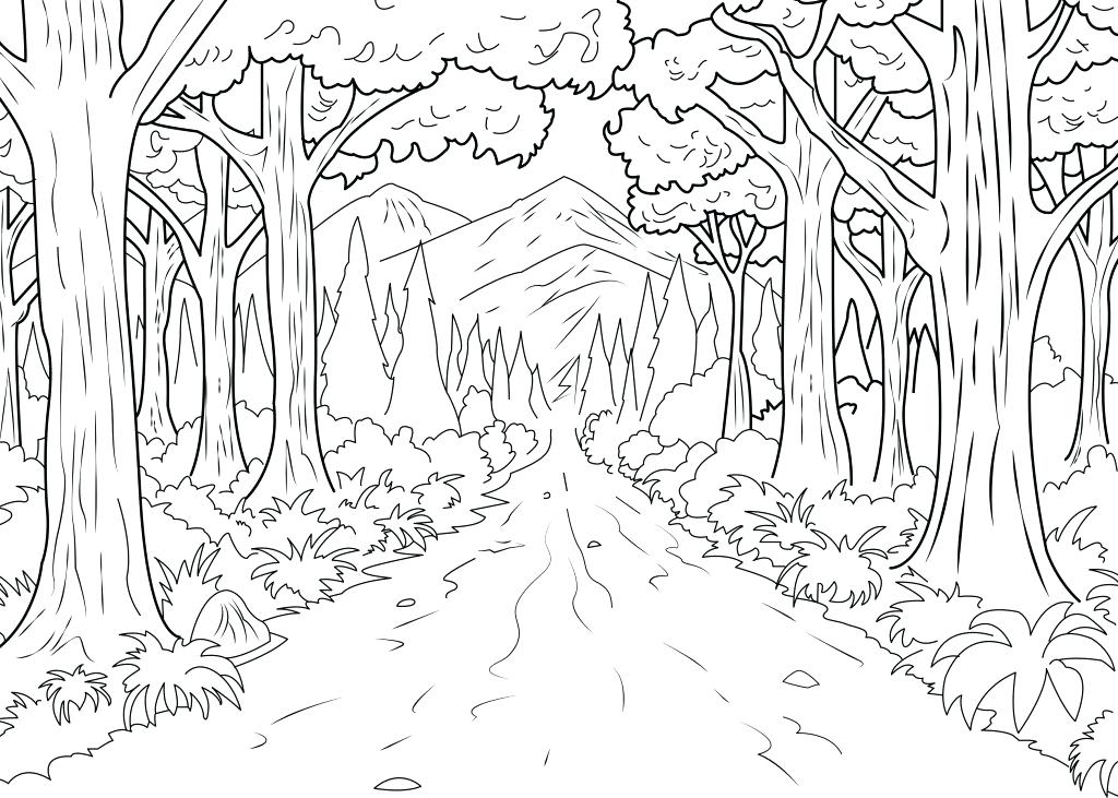 Forest Coloring Page Adult Jungle Coloring Pages Kids Jungle Sheet 1024x731 Forest Coloring Page Adult Jungle Coloring Pages Kids Jungle Sheet