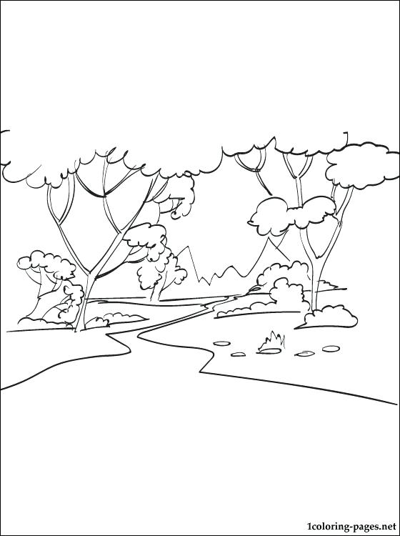Forest Coloring Pages Forest Coloring Page Rainforest Coloring 560x750 Forest Coloring Pages Forest Coloring Page Rainforest Coloring