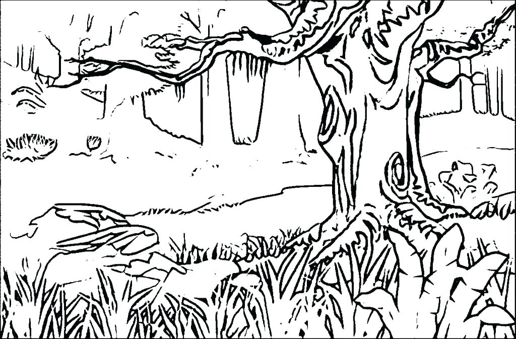 Forest Coloring Pages To Print Coloring Pages Forest Coloring 1024x673 Forest Coloring Pages To Print Coloring Pages Forest Coloring