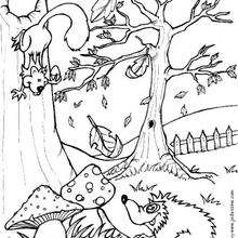 Squirrel And Hedgehog Coloring Pages 220x220 Squirrel And Hedgehog Coloring Pages