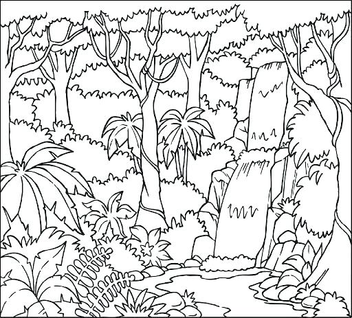 Coloring Pages Of Rainforest Animals Rain Forest Coloring Pages 512x463 Coloring Pages Of Rainforest Animals Rain Forest Coloring Pages