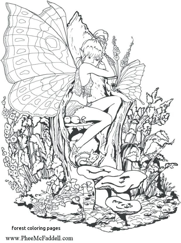 619x832 Forest Coloring Pages Fantasy Pages For Adult Coloring For Forest