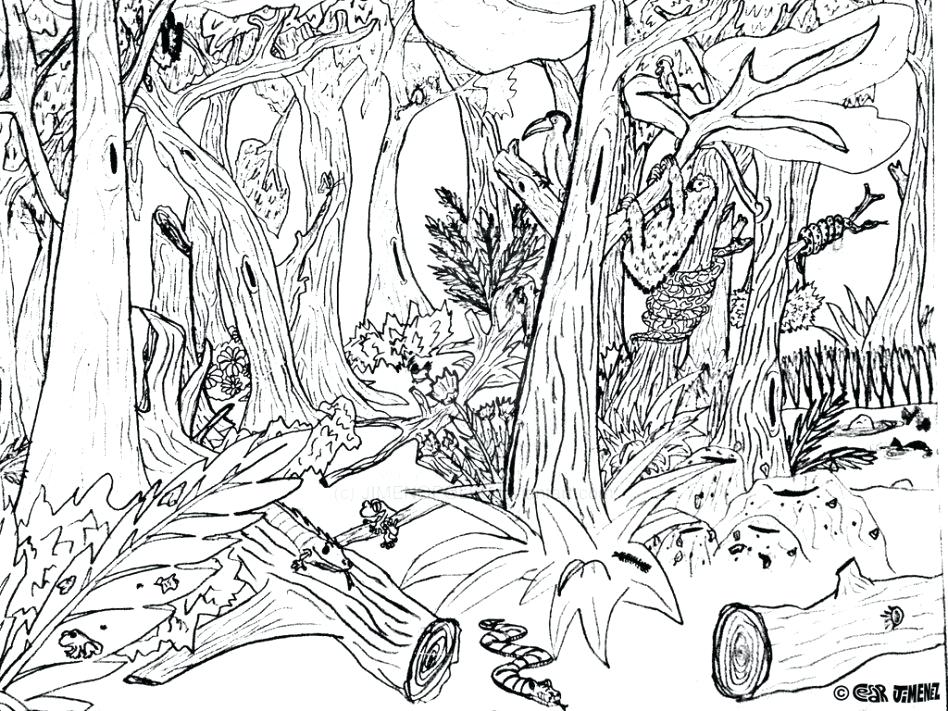 948x711 Forest Coloring Pages With Wallpaper Photo Forest Coloring Pages