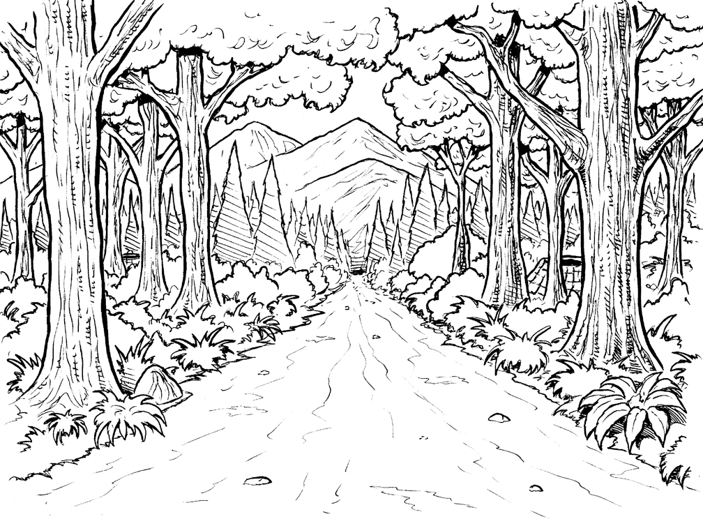 1008x744 Forest Coloring Pictures Marvellousest Coloring Pages 14