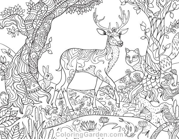 600x464 Free Printable Forest Creatures Adult Coloring Page. The Coloring