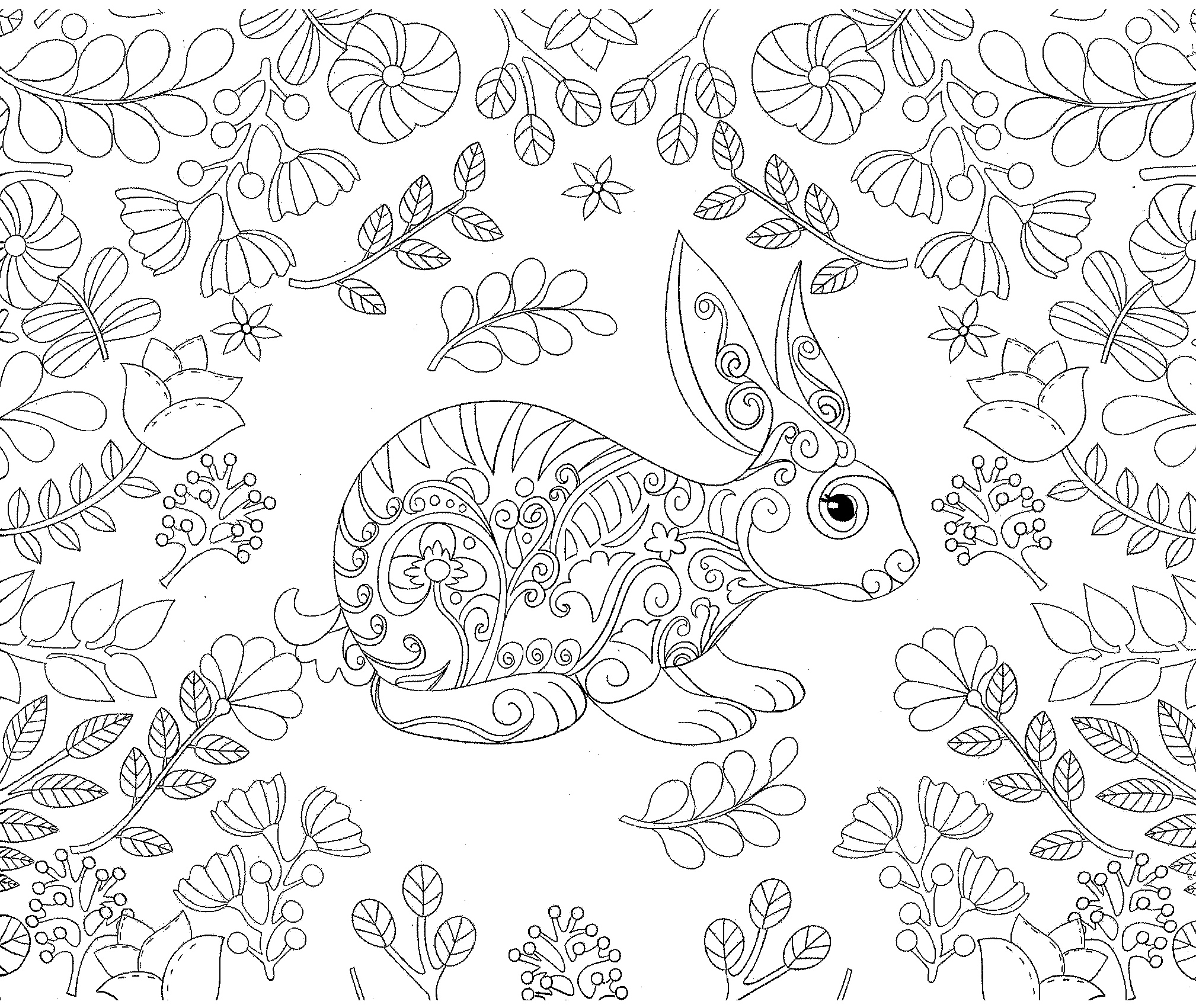 2018x1702 Rabbit Bunny Forest Coloring Pages