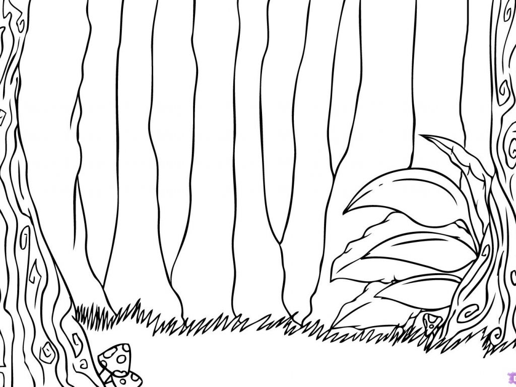 1024x768 Coloring Forest Animals Picture Ideas Jungle Pages Printable Free