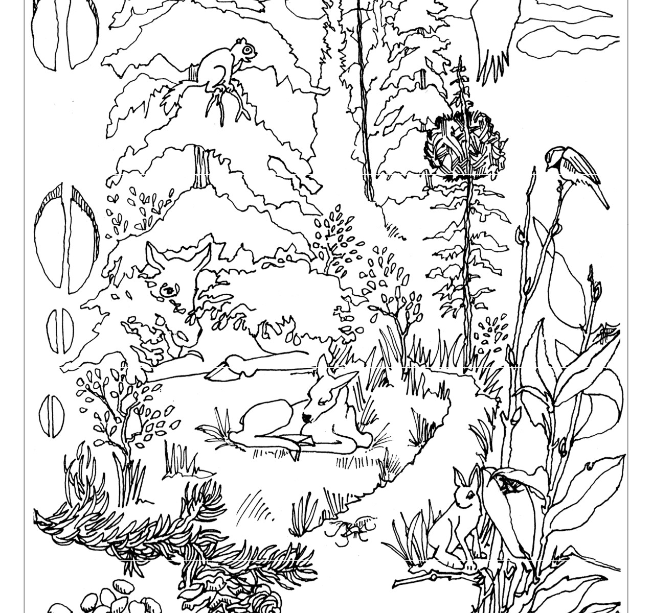 1275x1200 New Adult Coloring Pages Of Forest Animals Printable Tearing