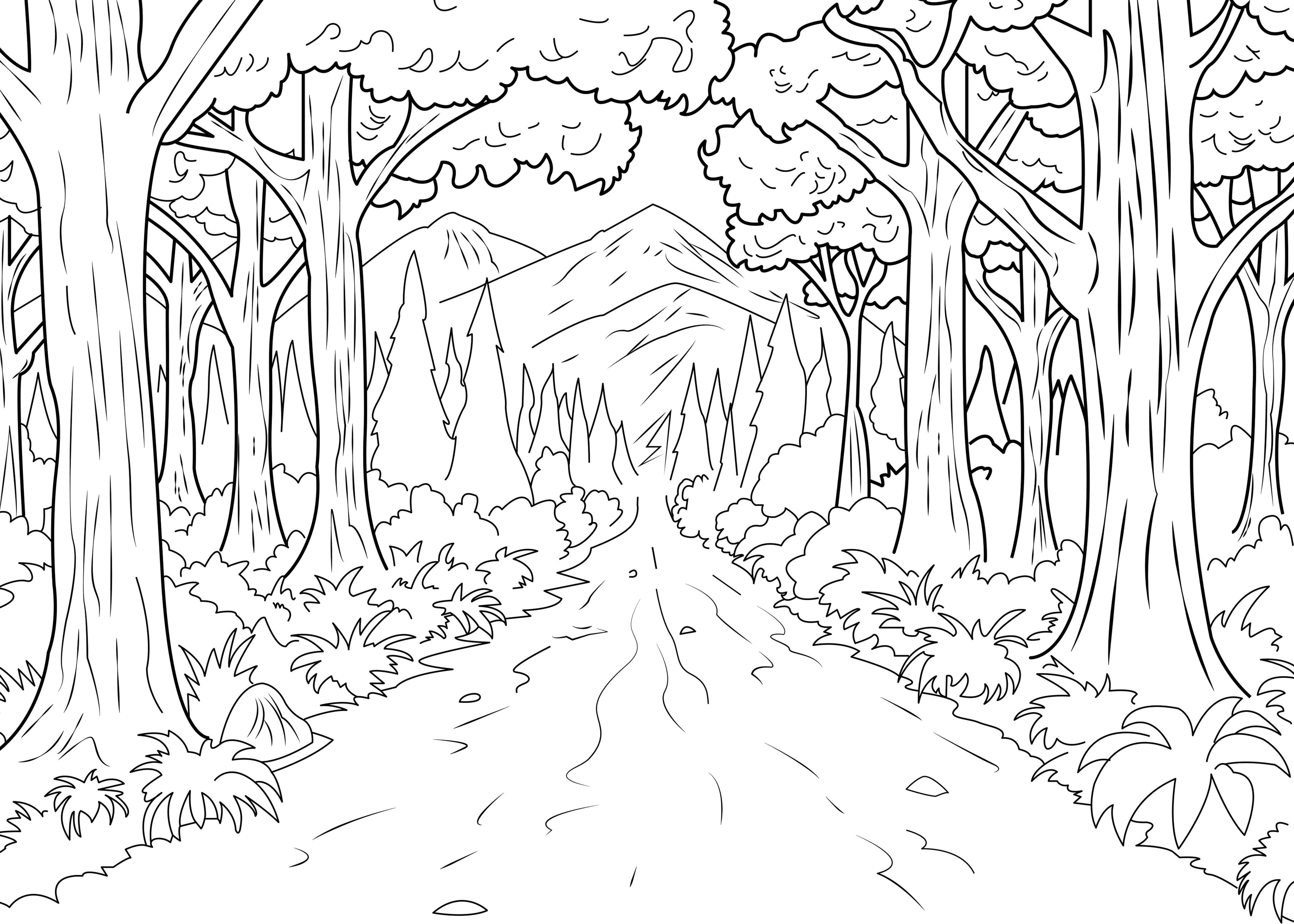 3625x2589 A Coloring Page Of Forest Made By Celine, From The Gallery