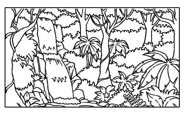 640x400 Rainforest Coloring Pages Coloring Pages Collection Forest