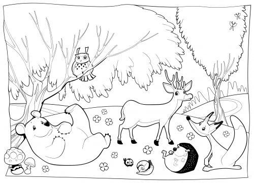 500x360 Forest Animals Coloring Pages Download Forest Animals Coloring