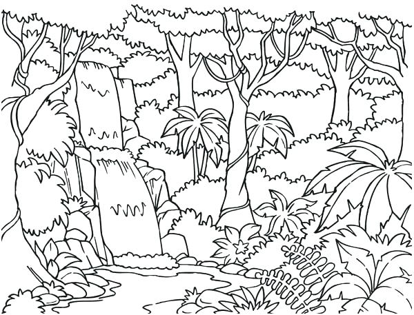 600x457 Enchanted Forest Coloring Pages Printable Images Floor Page Free