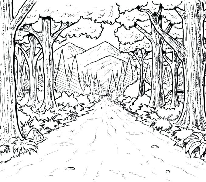 678x600 Sleeping Forest Coloring Page Sleeping Forest Enchanted Forest