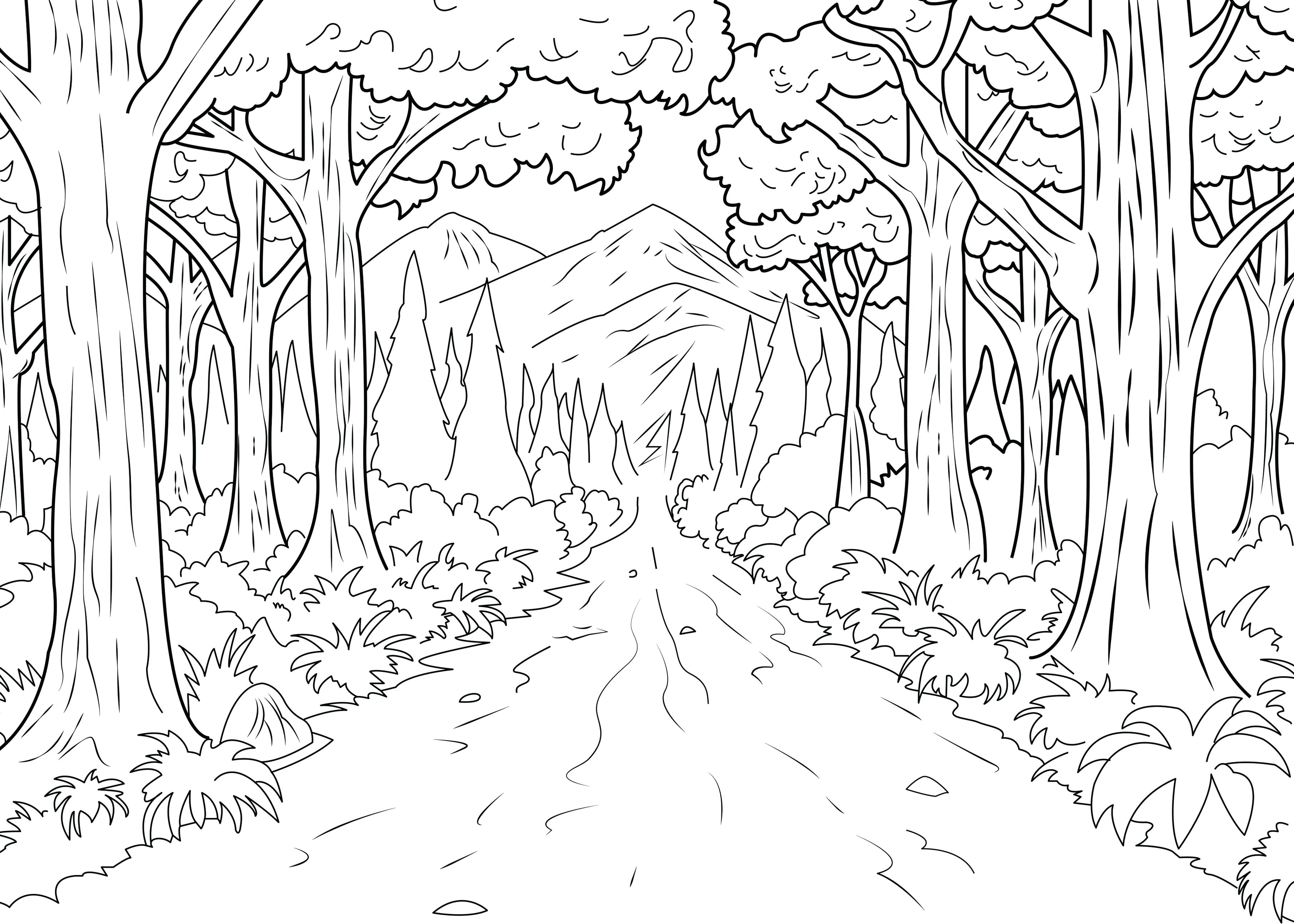 3625x2589 Autumn Leaf In The Forest Coloring Page Pages For Kids Animals
