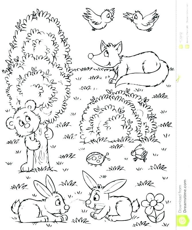 669x800 Coloring Forest S S Forest Coloring Pages Printable
