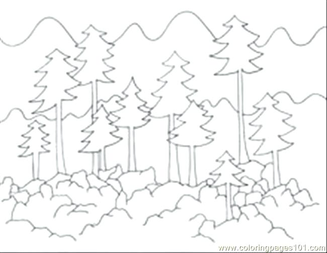 650x502 Coloring Page Free Forest Coloring Pages Free Coloring Coloring