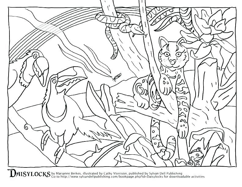 792x612 Animal Habitats Coloring Pages Coloring Pages Coloring Pages