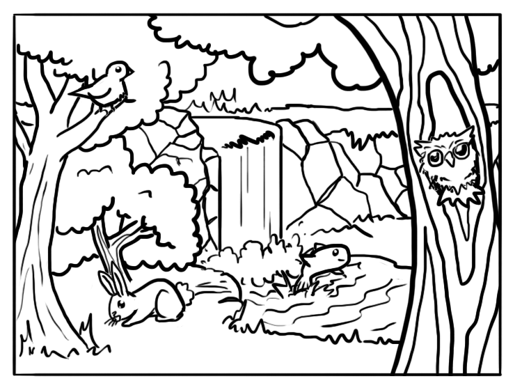 750x560 Forest Animals Coloring Pages