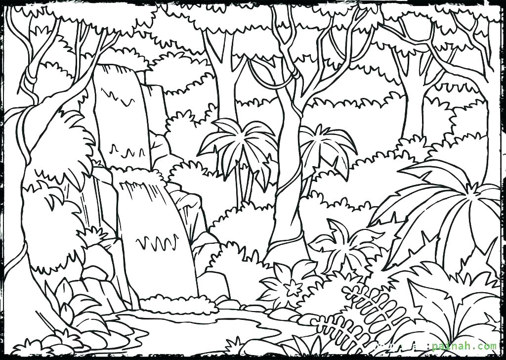 1024x728 Forest Coloring Pages Rain Forest Coloring Pages Rain Forest