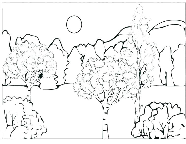 756x585 Animal Habitat Coloring Pages