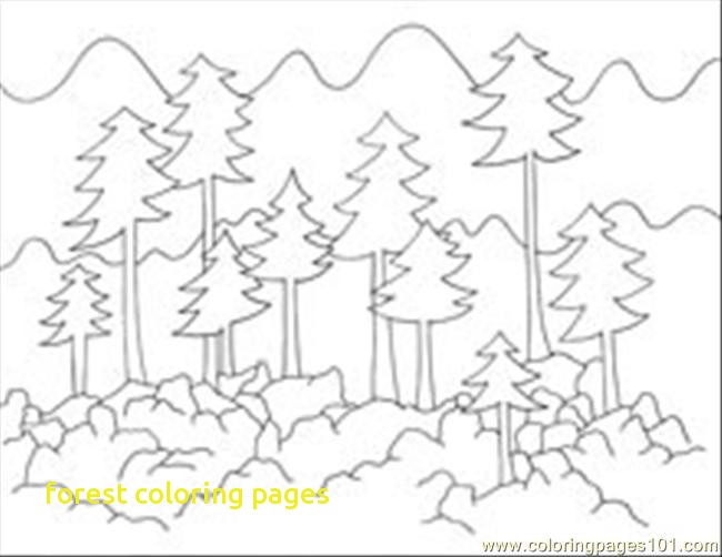 Forest Coloring Pages With Camping In The Woods Coloring Page 650x502 Forest Coloring Pages With Camping In The Woods Coloring Page