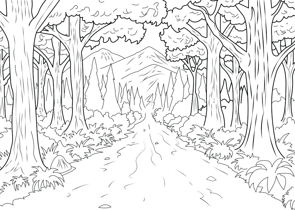 Forest Colouring Pages Coloring Pages Forest A Coloring Page 1024x731 Forest Colouring Pages Coloring Pages Forest A Coloring Page