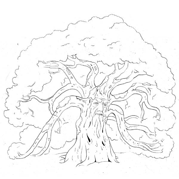 Forest Guard Oak Tree Coloring Page Color Luna 600x600 Forest Guard Oak Tree Coloring Page Color Luna