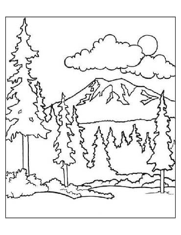 Preschool Forest Coloring Page 370x480 Preschool Forest Coloring Page