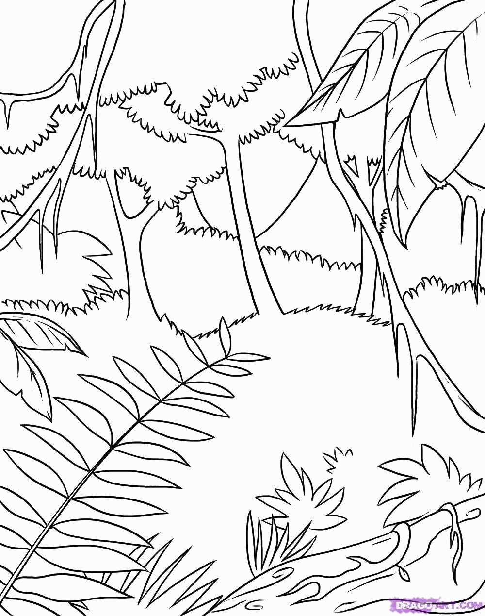 Rainforest Coloring Pages Inspirational Rain Forest Trees Coloring 1000x1269 Rainforest Coloring Pages Inspirational Rain Forest Trees Coloring