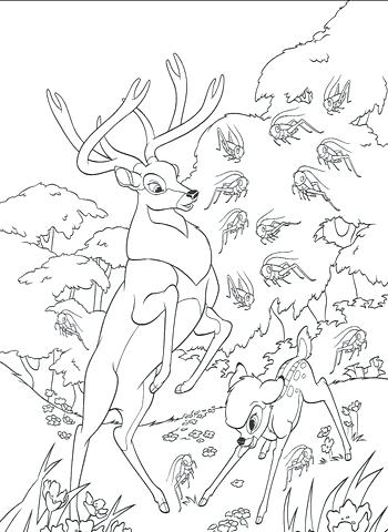 Roe And In The Forest Coloring Page Free Printable Free Coloring 350x480 Roe And In The Forest Coloring Page Free Printable Free Coloring