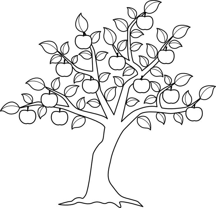 The Giving Tree Coloring Pages 736x708 The Giving Tree Coloring Pages
