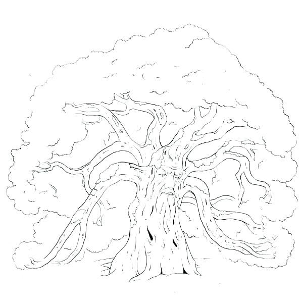 Coloring Pages Of Trees Without Leaves Tree Without Leaves Of Bare 600x600 Coloring Pages Of Trees Without Leaves Tree Without Leaves Of Bare