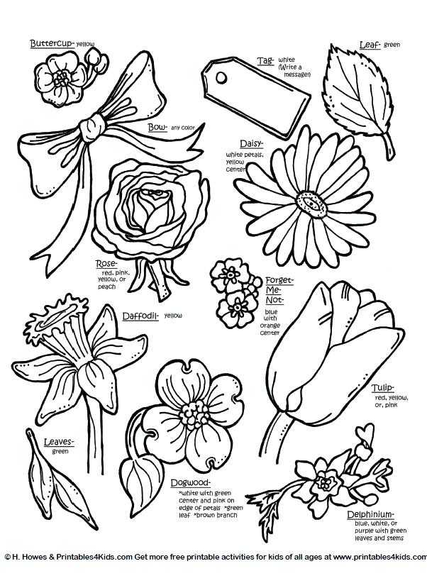 Free Botany Coloring Pages Kids Coloring Botanical Flowers 602x829 Free Botany Coloring Pages Kids Coloring Botanical Flowers
