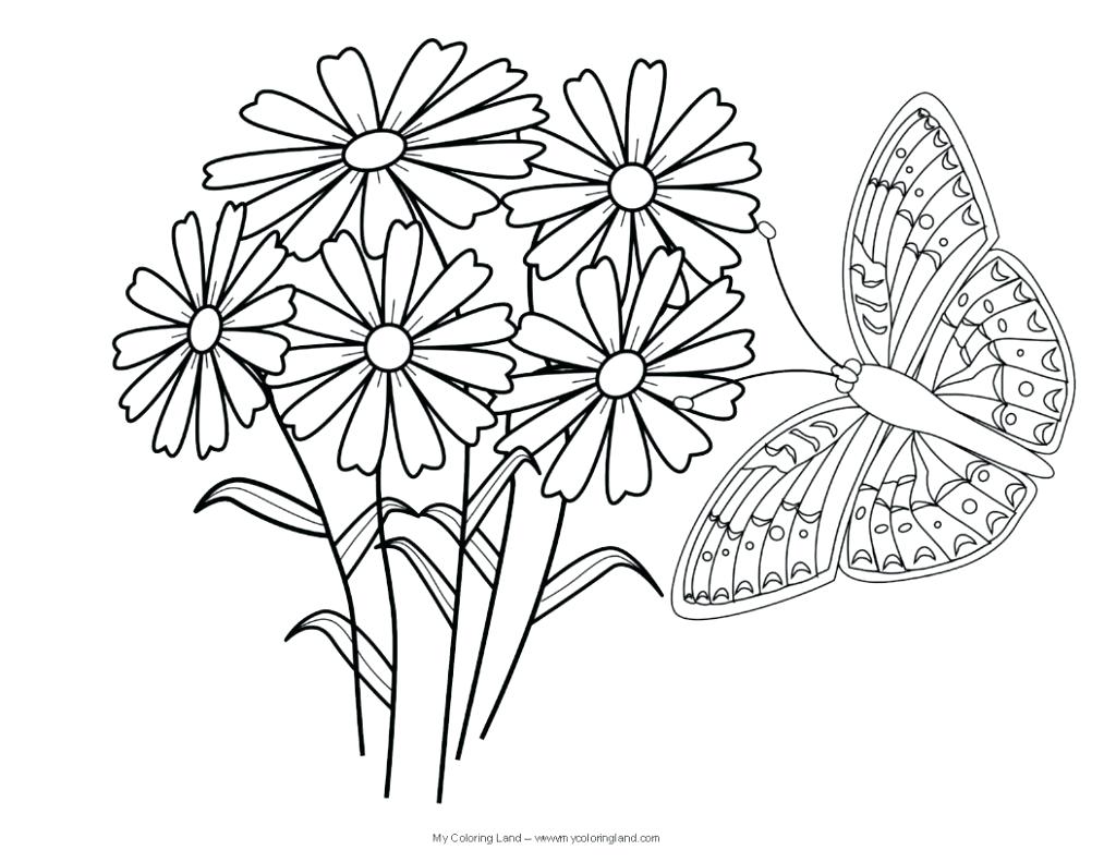 Free Flower Coloring Pages Pdf Adult Butterflies And Flowers 1024x791 Free Flower Coloring Pages Pdf Adult Butterflies And Flowers