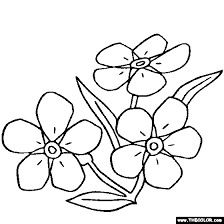 Image Result For Forget Me Nots Drawing Embroidery Patterns 224x224 Image Result For Forget Me Nots Drawing Embroidery Patterns