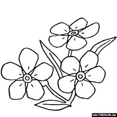 Forget Me Not 236x236 Forget Me Not