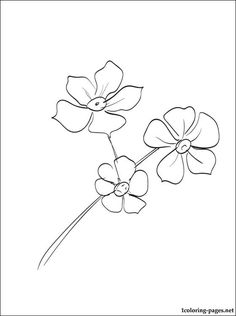 Coloring Page Forget Me Not 236x316 Coloring Page Forget Me Not