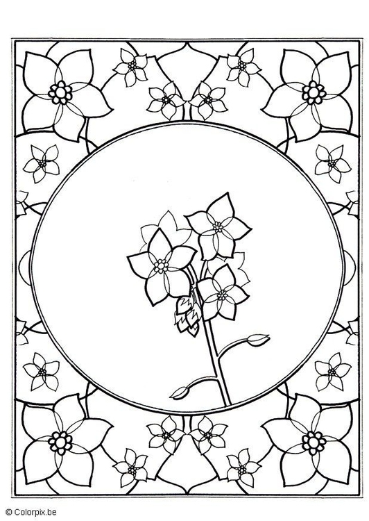 Coloring Page Forget Me Not 532x750 Coloring Page Forget Me Not