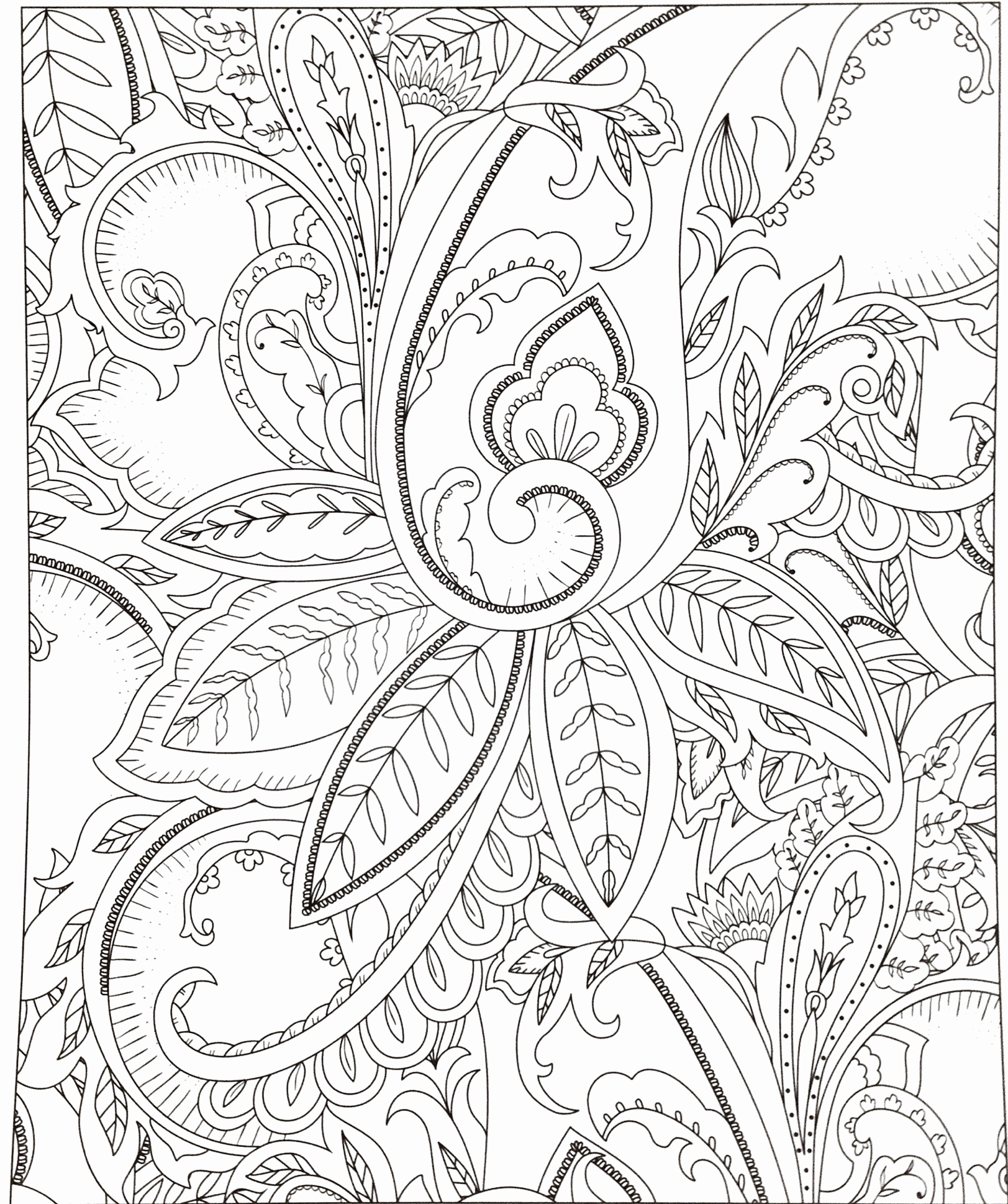 School Bus Coloring Page Best Of Coloring Pages Beautiful Moon 1623x1937 School Bus Coloring Page Best Of Coloring Pages Beautiful Moon