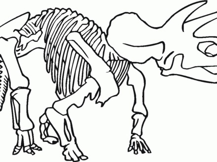Fossil Coloring Pages