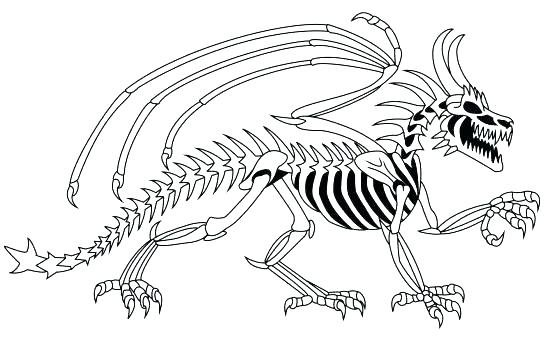 550x337 Stegosaurus Coloring Page Fossil Coloring Pages Stegosaurus