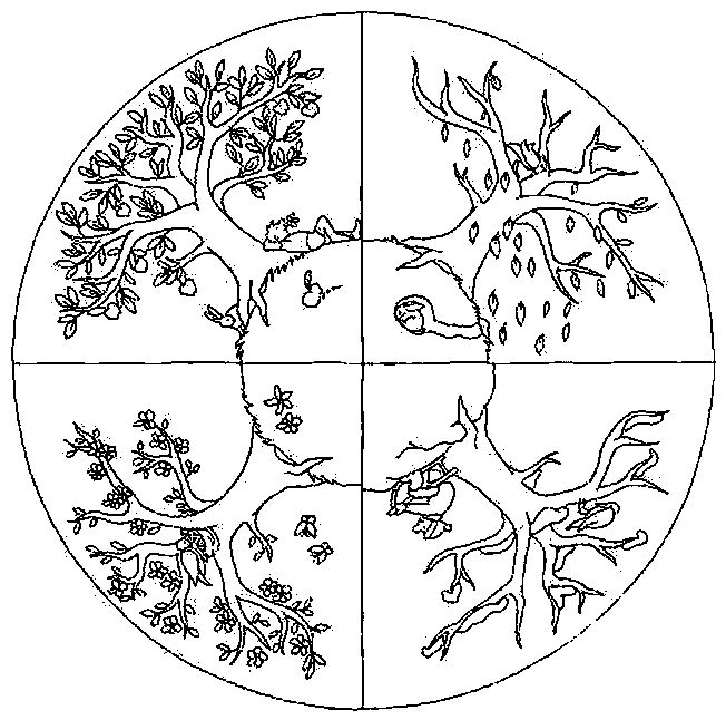 Four Seasons Pictures To Colour Coloring Page 652x646 Four Seasons Pictures To Colour Coloring Page